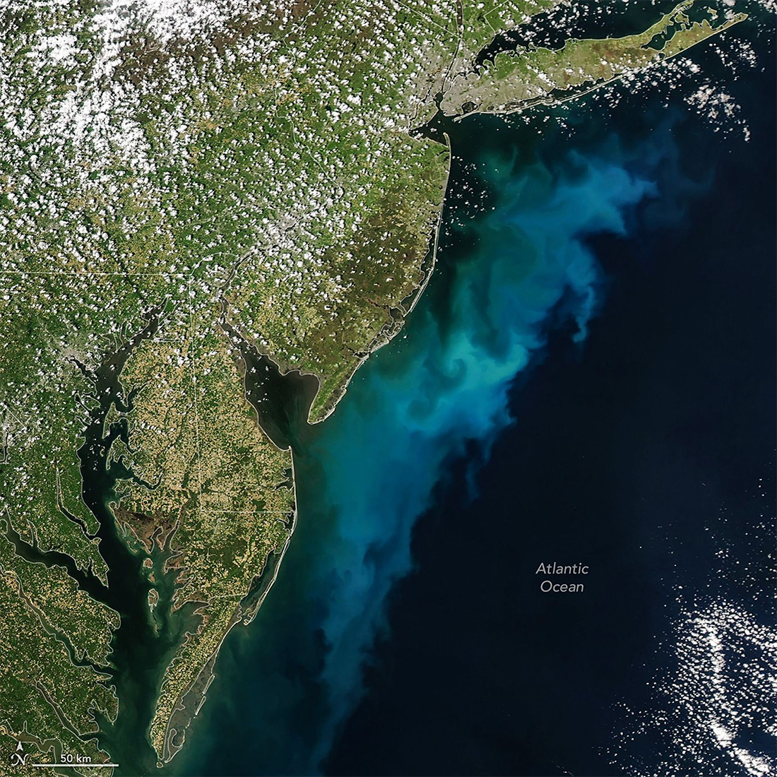 A big swirling blue-green bloom off the eastern coast of the US.